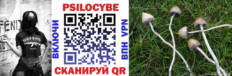 Псилоцибиновые грибы мухоморы  Купить где  Анива 